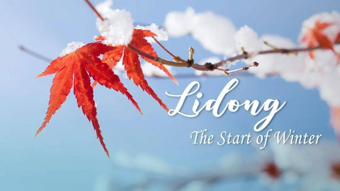 بداية الشتاء: موسم للراحة والتأمل